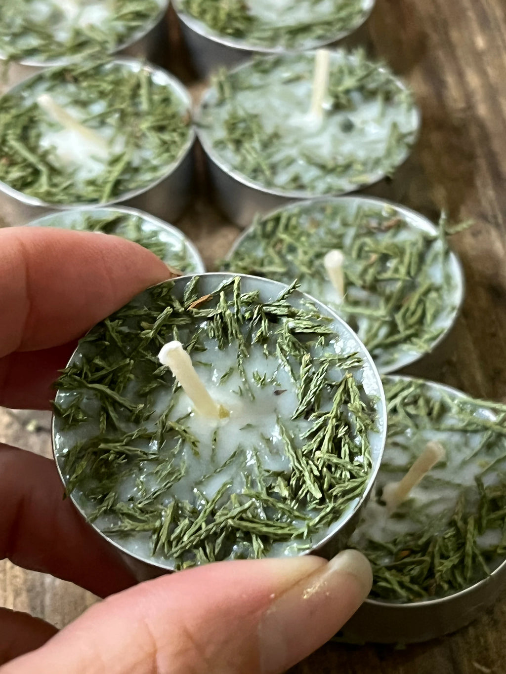 Cedar Herb  Botanical Tea Lights