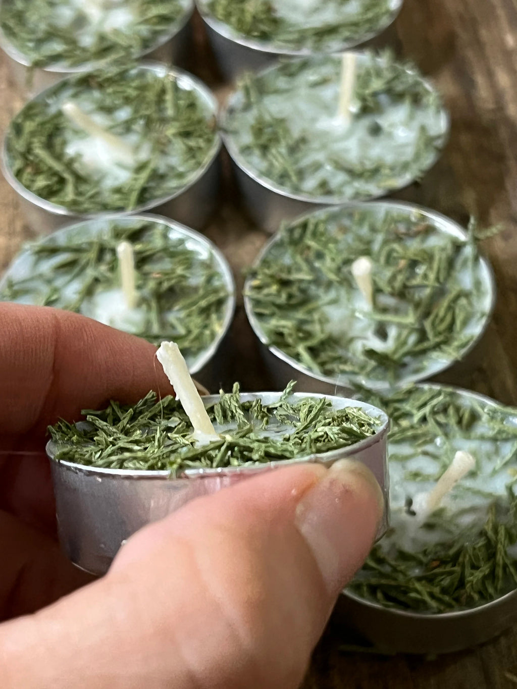 Cedar Herb  Botanical Tea Lights