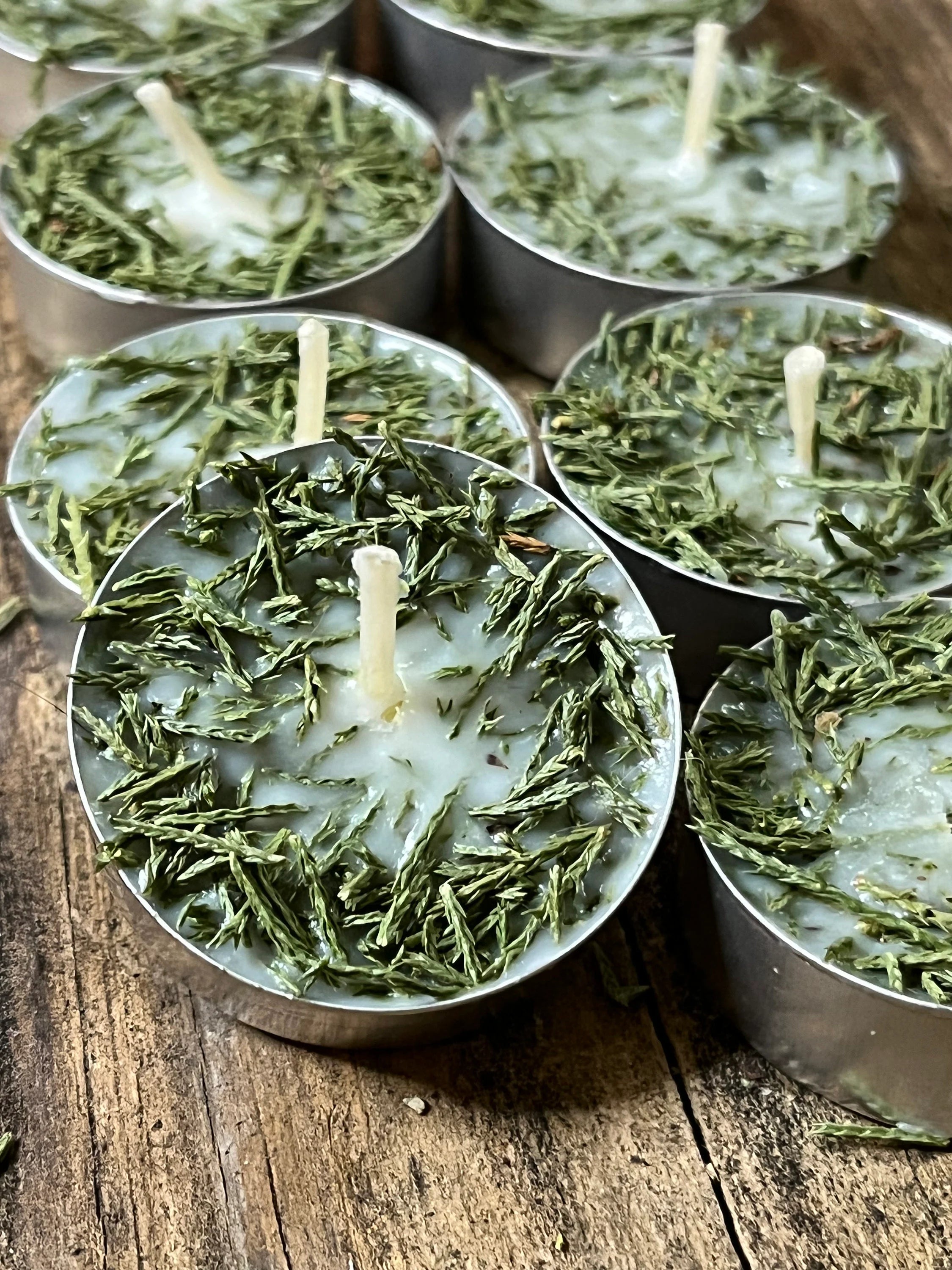 Cedar Herb  Botanical Tea Lights