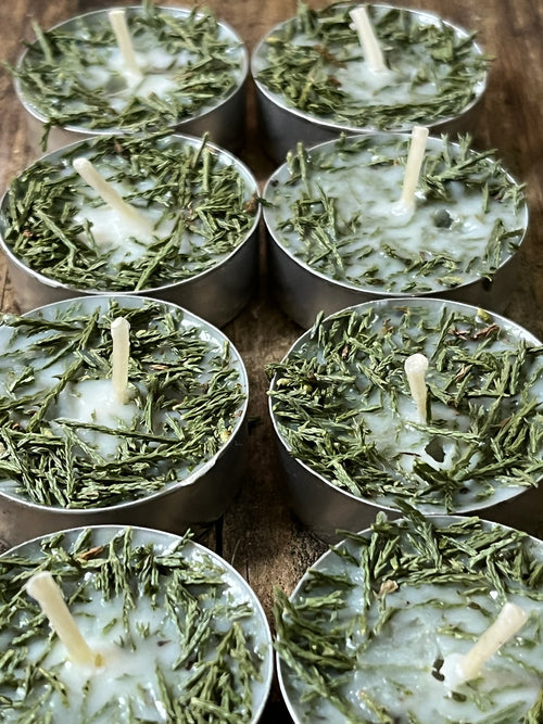 Cedar Herb  Botanical Tea Lights