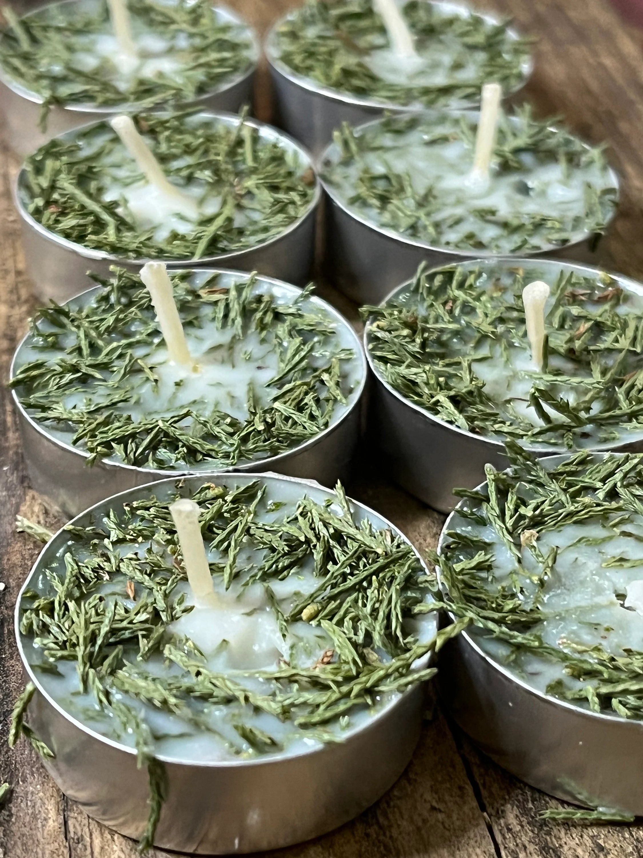 Cedar Herb  Botanical Tea Lights